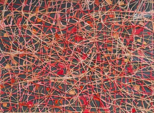 Apparato capillare (2024), Giancarlo Carnevale. An intricate network of red and yellow lines on dark green