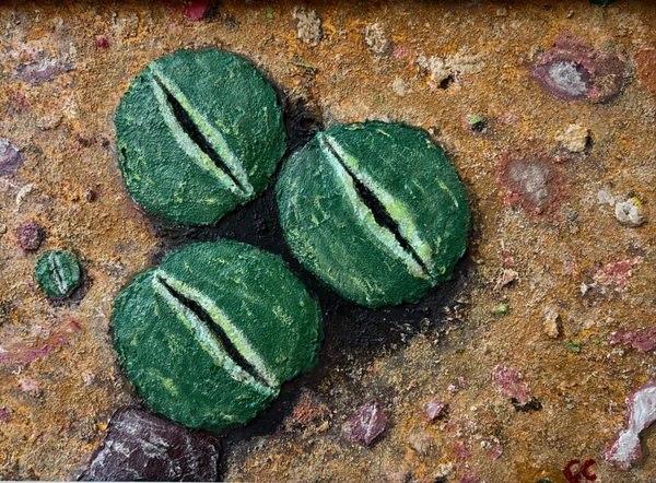 Metamorfosi (2024), Giancarlo Carnevale. Three rounded green forms within a textured earth-coloured surface