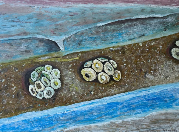 Piante acquatiche (2024), Giancarlo Carnevale. Blue water channels bordering small circular plant forms