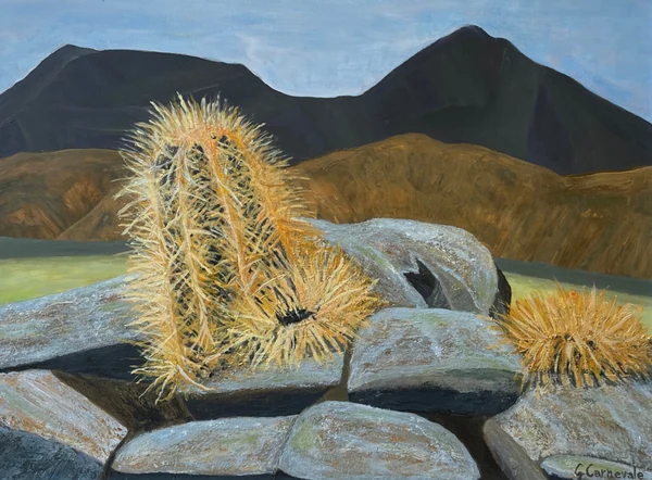 Vita nel deserto (2024), Giancarlo Carnevale. Golden cacti among grey rocks in a desert landscape